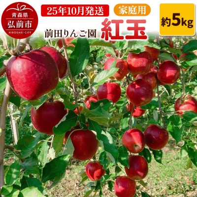 【25年10月発送】りんご【家庭用】紅玉 約5kg  前田りんご園|24_mre-100501
