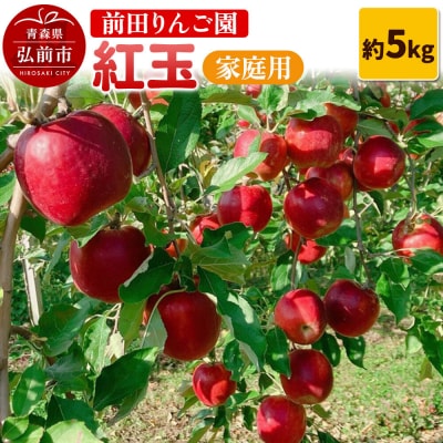 【26年10月発送】りんご【家庭用】紅玉 約5kg 前田りんご園|24_mre-100501