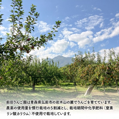 【26年10月発送】りんご【家庭用】紅玉 約5kg 前田りんご園|24_mre-100501