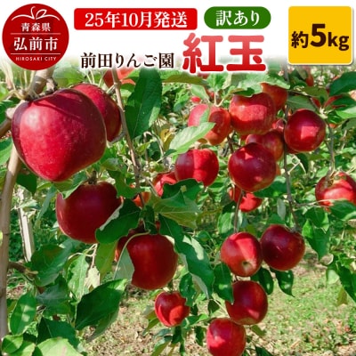 【25年10月発送】りんご【訳あり】紅玉 約5kg  前田りんご園|24_mre-110501
