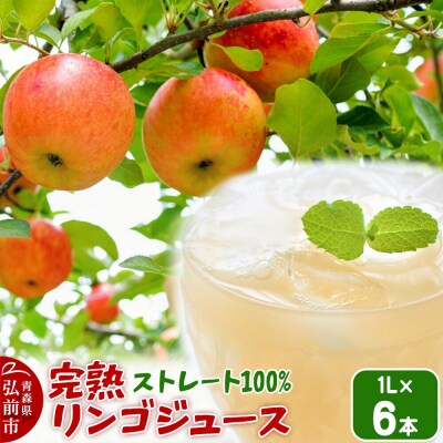 完熟リンゴジュース 1L 6本入 ちとせ村ナカタファーム|24_cmn-080601