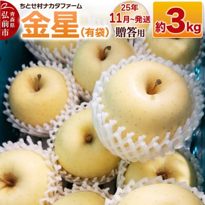 りんご【贈答用】金星(有袋)約3kg|24_cmn-090301a