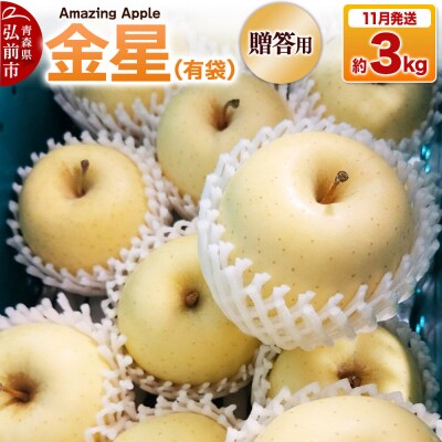 【26年11月下旬発送】りんご 金星(有袋)【贈答用】約3kg|24_cmn-090301a