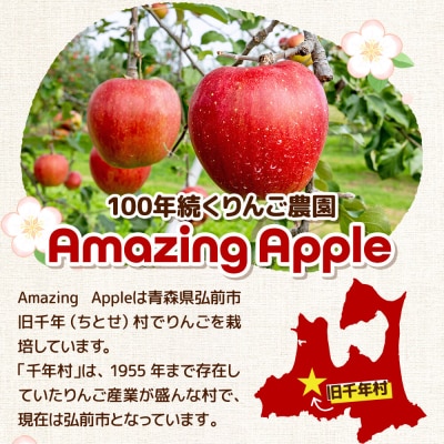 【26年11月下旬発送】りんご 金星(有袋)【贈答用】約3kg|24_cmn-090301a