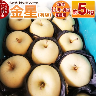 りんご【家庭用】金星(有袋)約5kg|24_cmn-100501a