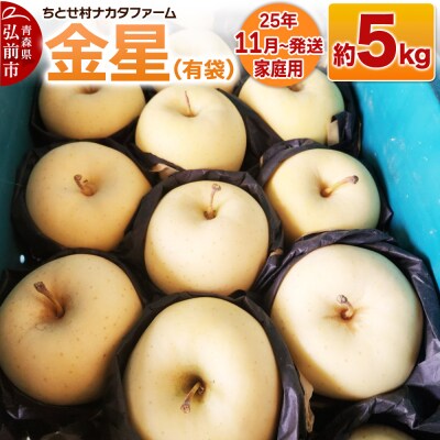 りんご【家庭用】金星(有袋)約5kg|24_cmn-100501a