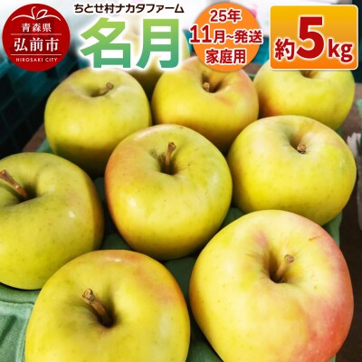 りんご【家庭用】名月 約5kg|24_cmn-110501a