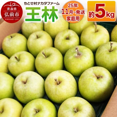 りんご【家庭用】王林 約5kg|24_cmn-120501a