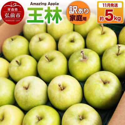 【26年11月下旬発送】りんご 王林【訳あり】家庭用 約5kg|24_cmn-120501a