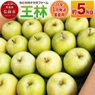 りんご【家庭用】王林 約5kg|24_cmn-120501b