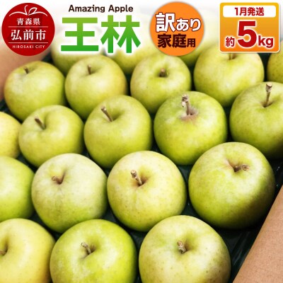 【27年1月発送】りんご 王林【訳あり】家庭用 約5kg|24_cmn-120501b