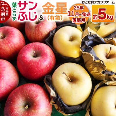 りんご【家庭用】葉取らずサンふじと金星(有袋)約5kg|24_cmn-130501a