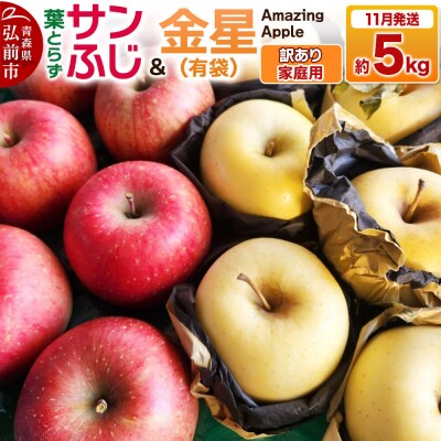 りんご 葉取らずサンふじ&金星(有袋)【訳あり】家庭用 約5kg|24_cmn-130501a