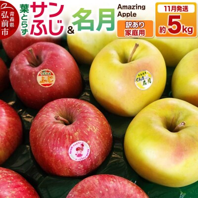 りんご 葉取らずサンふじ&名月 詰め合わせ【訳あり】家庭用 約5kg|24_cmn-140501a