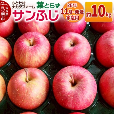 りんご【家庭用】葉取らずサンふじ 約10kg|24_cmn-151001a