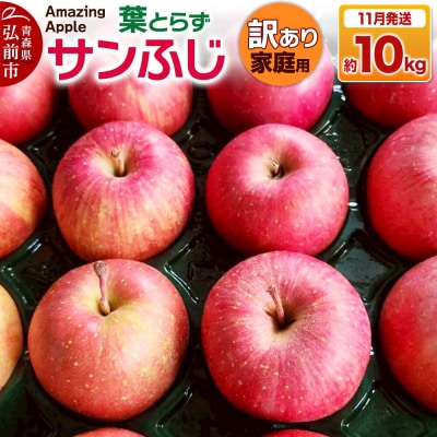 りんご 葉とらずサンふじ【訳あり】家庭用 約10kg|24_cmn-151001a