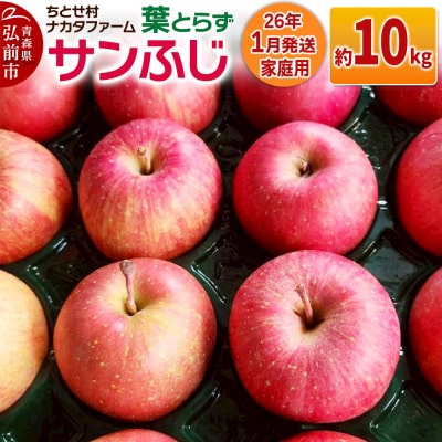 りんご【家庭用】葉取らずサンふじ 約10kg|24_cmn-151001b