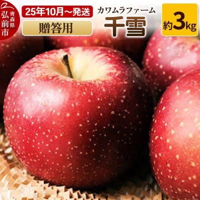 りんご【先行受付】千雪 贈答用 約3kg カワムラファーム|24_kmf-120301