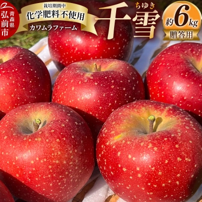   p 6kg Jt@[|24_kmf-120601