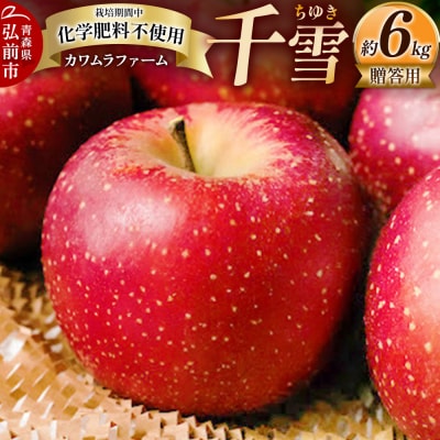 りんご【先行受付】千雪 贈答用 約6kg カワムラファーム|24_kmf-120601