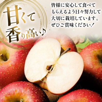 りんご【先行受付】千雪 贈答用 約6kg カワムラファーム|24_kmf-120601