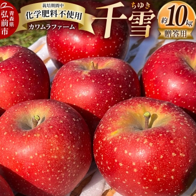 りんご 千雪 贈答用 約10kg カワムラファーム|24_kmf-121001