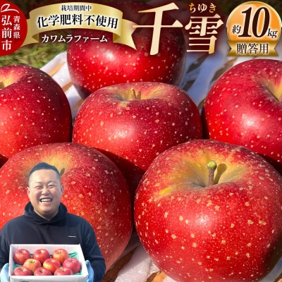 りんご 千雪 贈答用 約10kg カワムラファーム|24_kmf-121001