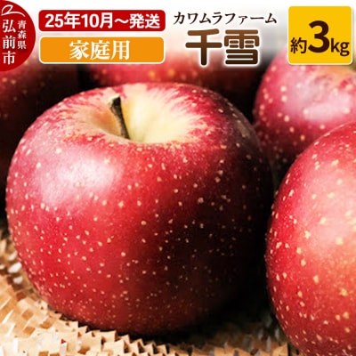 りんご【先行受付】千雪 家庭用 約3kg カワムラファーム|24_kmf-130301