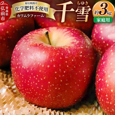りんご【先行受付】千雪 家庭用 約3kg カワムラファーム|24_kmf-130301