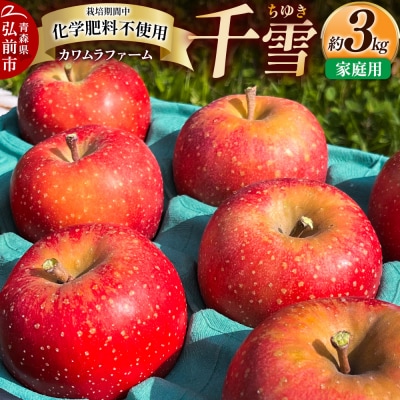 りんご 千雪 家庭用 約3kg カワムラファーム|24_kmf-130301