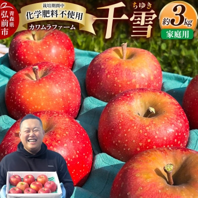 りんご 千雪 家庭用 約3kg カワムラファーム|24_kmf-130301