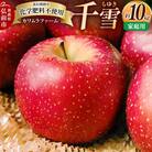 りんご【先行受付】千雪 家庭用 約10kg カワムラファーム|24_kmf-131001