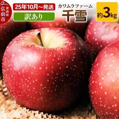 りんご【先行受付】千雪 訳あり 約3kg カワムラファーム|24_kmf-140301
