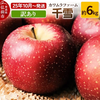 りんご【先行受付】千雪 訳あり 約6kg カワムラファーム|24_kmf-140601