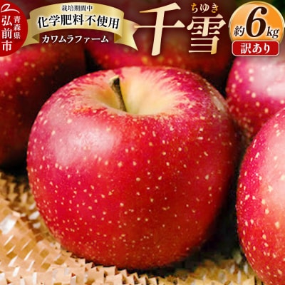 りんご【先行受付】千雪 訳あり 約6kg カワムラファーム|24_kmf-140601