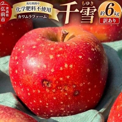 りんご 千雪 訳あり 約6kg カワムラファーム|24_kmf-140601