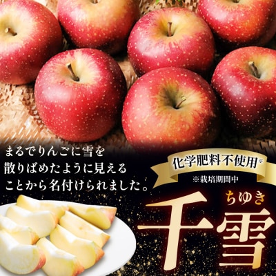 りんご【先行受付】千雪 訳あり 約6kg カワムラファーム|24_kmf-140601