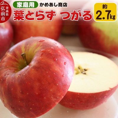 【25年9月発送】りんご 葉とらず つがる【家庭用】約2.7kg|24_cam-042701