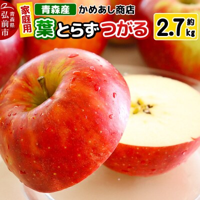 りんご 葉とらず つがる【家庭用】約2.7kg ゴールド農園|24_cam-042701