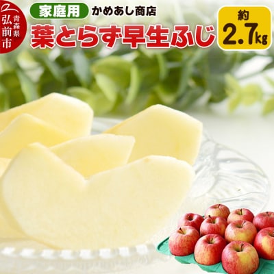 【25年10月発送】りんご 葉とらず 早生ふじ【家庭用】約2.7kg|24_cam-052701