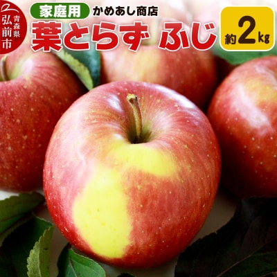 【25年11月発送】りんご 葉とらず ふじ【家庭用】約2kg|24_cam-060201