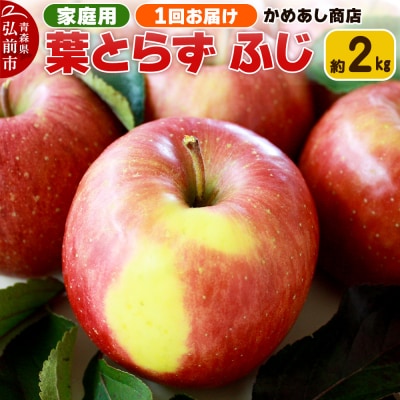 【25年12月～発送】りんご 葉とらずふじ【家庭用】約2kg|24_cam-060201