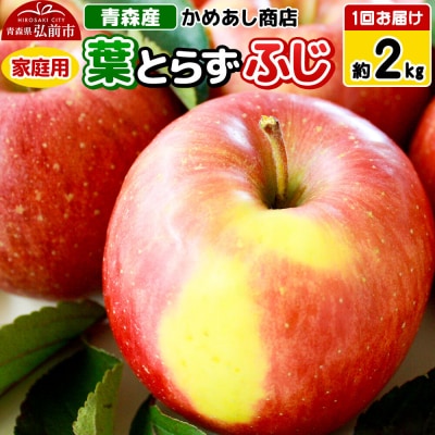 【25年12月～発送】りんご 葉とらず ふじ【家庭用】約2kg|24_cam-060201