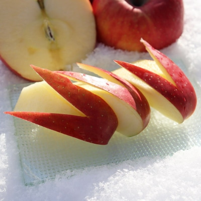 【25年12月～発送】りんご 葉とらず ふじ【家庭用】約2kg|24_cam-060201