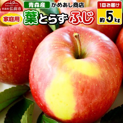 【25年12月～発送】りんご 葉とらず ふじ【家庭用】約5kg|24_cam-060501