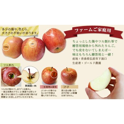 【25年12月～発送】りんご 葉とらず ふじ【家庭用】約5kg|24_cam-060501