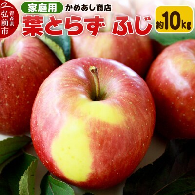 【25年11月発送】りんご 葉とらず ふじ【家庭用】約10kg|24_cam-061001