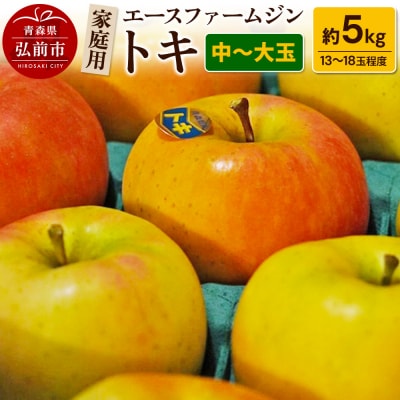 りんご【先行受付】トキ 家庭用 約5kg(中玉～大玉13～18玉程度)|24_ace-010501