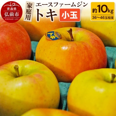 りんご【先行受付】トキ 家庭用 約10kg(小玉36～46玉程度)|24_ace-011001