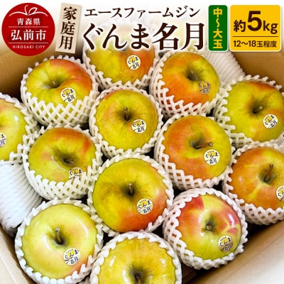りんご家庭用ぐんま名月 約5kg(中玉～大玉12玉～18玉程度)|24_ace-040501